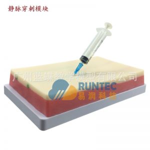 静脉穿刺模型（模块）、 输液器