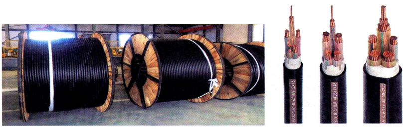 图 17-1: 船用低压与中压电力电缆实物结构图 图 17-1: 船用低压与中压电力电缆实物结构图