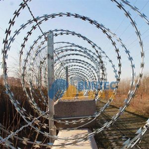 Blade roller cage