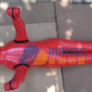 Human body model
