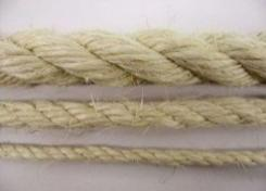 Three-strand white palm fiber rope (or synthetic fiber rope) for knot-tying practice