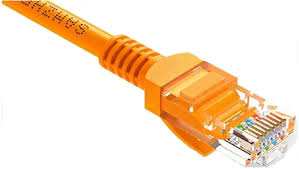 Network cable